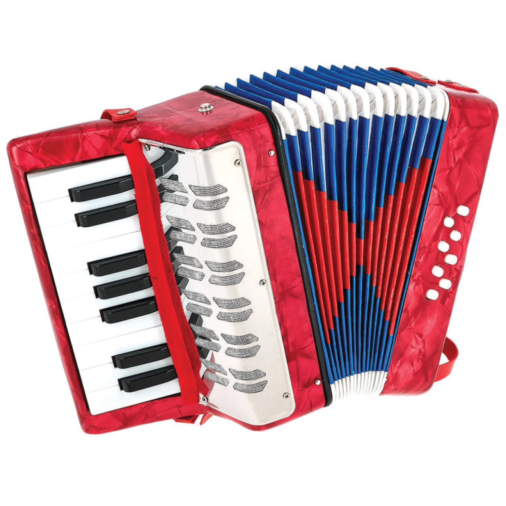 Musical Accordion Instrument for Kids Najjar Stores