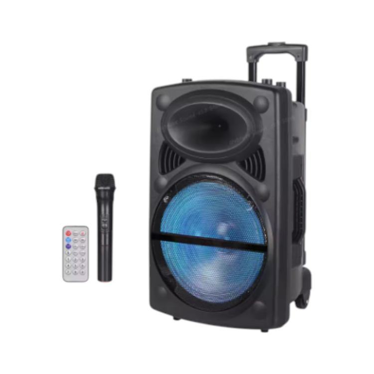 Speaker W-D12 12" Wireless